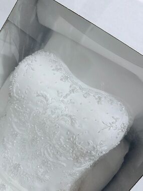 Cleaned & Sealed David’s Bridal Strapless Ball Gown Wedding Dress in White